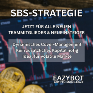 SBS-STRATEGIE